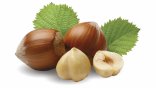 Nocciola
