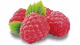 Sorbetto al Lampone
