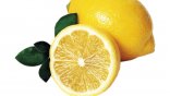 PGI Syracuse Lemon Sorbet