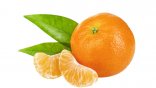 Sorbetto al Mandarino